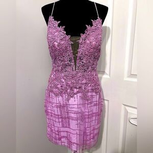 Elegant Lace Pink Prom / Honecoming Dress
